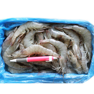 弹指鲜生 厄瓜多尔 鲜活速冻白虾 1.4kg