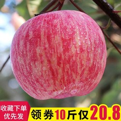 10斤精品紅富士蘋果