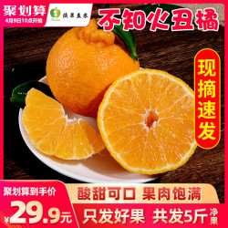 四川不知火真丑橘丑八怪柑橘当季桔子应季新鲜水果整箱批发包邮