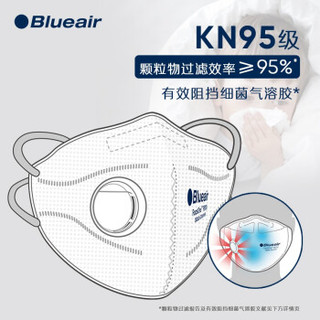 Blueair 布鲁雅尔 KN95 一次性防护口罩 白色 10只装