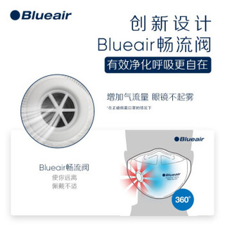 Blueair 布鲁雅尔 KN95 一次性防护口罩 白色 10只装