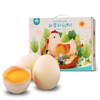 助力陕西：守望大山 农家自养富硒土鸡蛋 30枚礼盒装