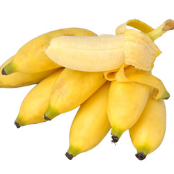 薯家上品 贵州糯米蕉2.5斤 新鲜芭蕉现摘香蕉当季应季热带水果