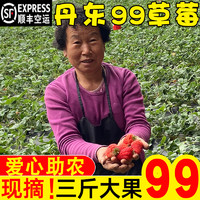 爱心助农丹东99草莓3斤新鲜大果红颜牛奶网红大草莓奶油东港草梅