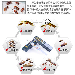 30g氟蚁腙厚生杀蟑胶饵 蟑螂药灭蟑螂家用杀虫剂 除蟑全窝端克星