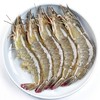 MARINEFAMILY 海洋世家 厄瓜多尔白虾 1.4kg 单只9-10cm