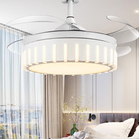 环森 风扇灯吊灯 黑鸟巢 42寸 36w