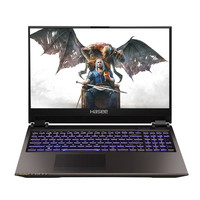Hasee 神舟 战神 Z9-CU7PK 15.6英寸 游戏本 黑色(酷睿i7-10750H、RTX 2070 8G、16GB、256GB SSD+1TB HDD、1080P、IPS、144Hz)