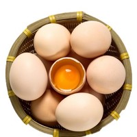  民大农牧 MINDA FARMING DEVELOPMENT 农家土鸡蛋 40枚