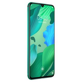 HUAWEI 华为 nova 5 Pro 4G手机 8GB+256GB 绮境森林