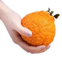 苹森客 四川不知火 丑橘  2.5kg 单果75mm以上