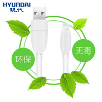 纽曼 苹果数据线 手机充电线USB电源连接线车用手机充电线 现代品牌原装数据线(苹果)