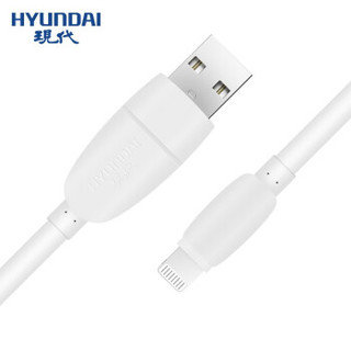 纽曼 苹果数据线 手机充电线USB电源连接线车用手机充电线 现代品牌原装数据线（苹果）