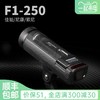 捷宝F1-250锂电池闪光灯单反相机人像补光外拍灯摄影灯高速TTL