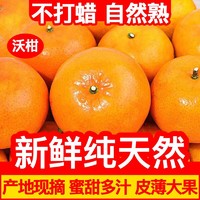 甘甜皮薄多汁新鲜沃柑5斤（净重） 新鲜当季孕妇水果 比耙耙柑丑柑不知火甜