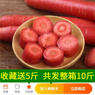 二帅 陕西大荔沙地 水果胡萝卜 10斤