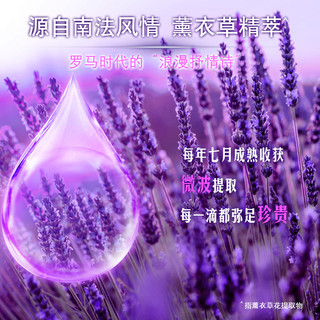 CLEAR 清扬 去屑洗发露 薰衣草香型 450g