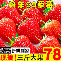 农员外 丹东99草莓 3斤