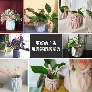 Hoatai Ceramic 华达泰陶瓷 绿植水培小花瓶