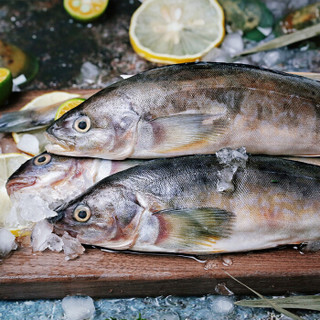 禧美 冷冻北海道野生深海黄鱼 400g/袋