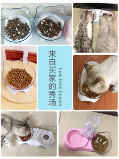 TaoMu 淘牧 宠物饭盆 斜口宠物碗