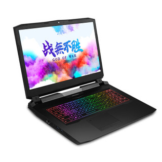 Hasee 神舟 战神GX10-CR7Pro 17.3英寸 游戏本 黑色(酷睿i7-9700K、RTX 2080 8G、16GB、512GB SSD+2TB HDD、1080P、IPS、144Hz)