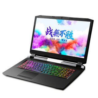 Hasee 神舟 战神GX10-CR7Pro 17.3英寸 游戏本 黑色(酷睿i7-9700K、RTX 2080 8G、16GB、512GB SSD+2TB HDD、1080P、IPS、144Hz)