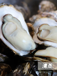 浓沁绿 新鲜威海乳山牡蛎 单个70g-90g 10斤