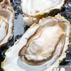 浓沁绿 新鲜威海乳山牡蛎 单个70g-90g 10斤