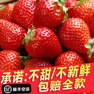 农赐 双流红颜奶油冬草莓 750g