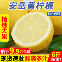 甘福园 四川安岳黄柠檬6斤新鲜当季水果现摘一级鲜柠檬青批发包邮