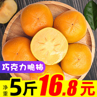 爱柚味 脆甜柿子 净重9.3-9.5斤