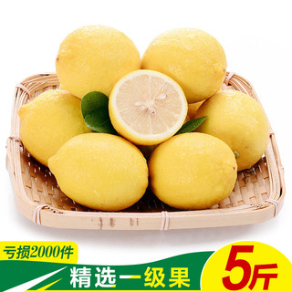 皇脆 四川安岳黄柠檬一级果 5斤