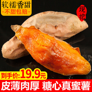 农锦鲜 山东烟台蜜薯 2500g