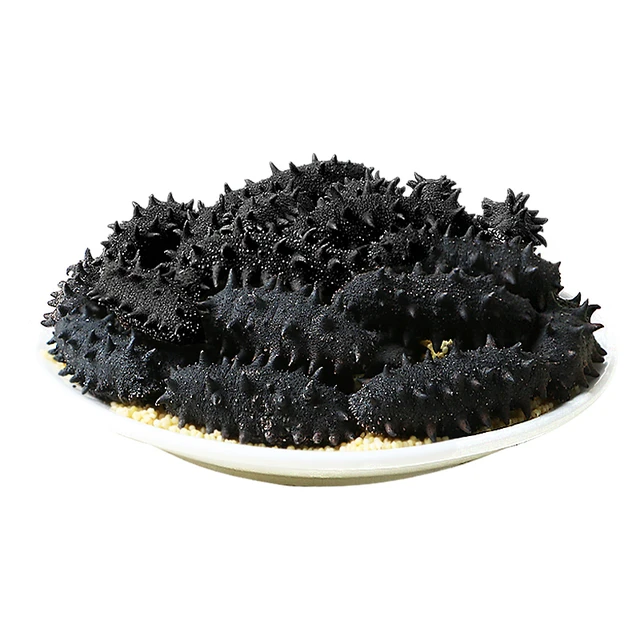 东上御品 淡干海参