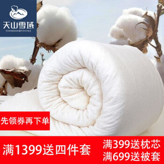 婉寇 天然新疆长绒棉 有网千层棉花被 200*230cm 6斤