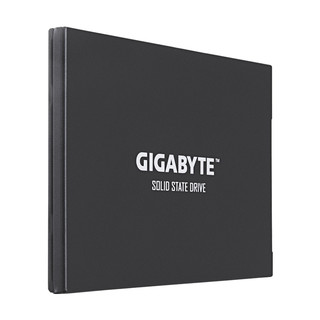 GIGABYTE 技嘉 UD PRO 固态硬盘 256GB