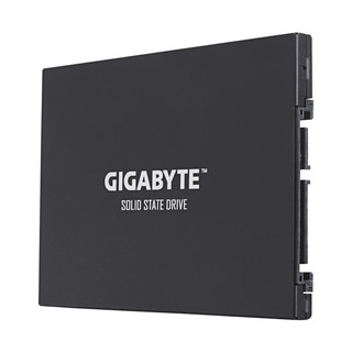 GIGABYTE 技嘉 UD PRO 固态硬盘 256GB