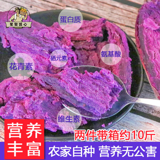 果聚匠心 沂蒙山紫薯 净重9斤