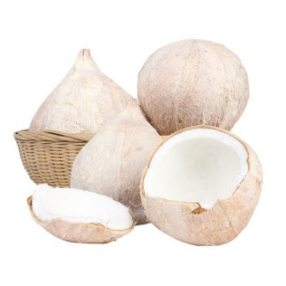 商品静益乐源 海南去皮椰子 8个 单个约0.65kg