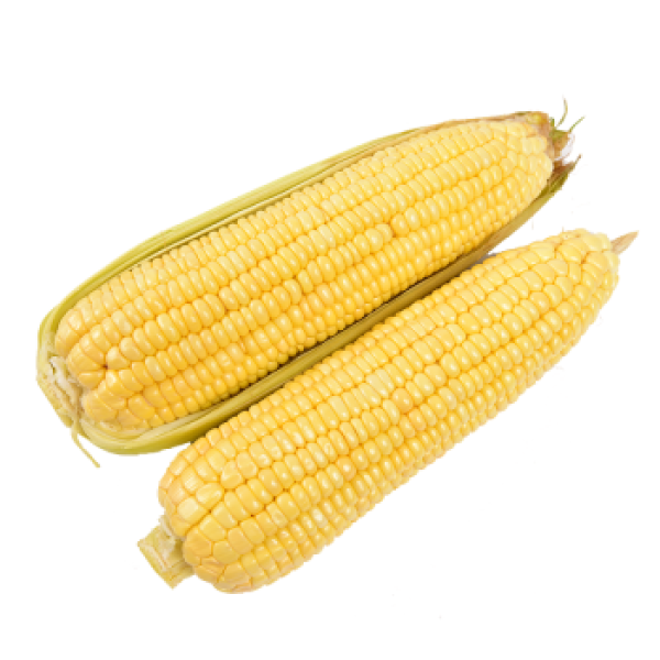 美夕海南水果玉米25kg