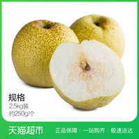 天猫超市 安徽砀山梨 2.5kg 单果约250g
