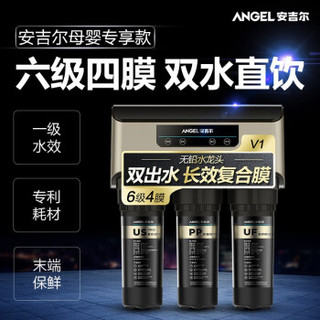 Angel 安吉尔 V1 净水机