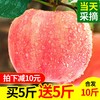 福瑞达 红富士苹果 10斤