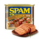 SPAM 世棒 午餐肉蒜味 340g *9件