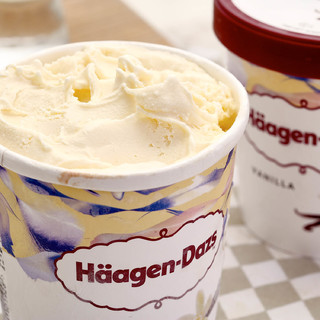 Häagen·Dazs 哈根达斯冰淇淋 400g