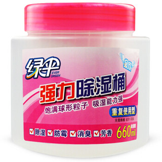 EVER GREEN 绿伞 强力除湿桶660ml*2桶+2袋补充装 干燥剂防潮防霉剂除湿剂室内衣柜除湿吸湿吸湿盒