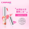 CANMAKE 果漾水润胭脂液