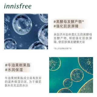 innisfree 悦诗风吟 森林男士保湿修护面霜 100ml