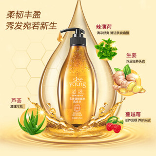 SEEYOUNG 滋源 生姜强根健发（洗头水535ml*2+洗235ml*2+发膜200ml+洗护60ml*2+护发素200ml）